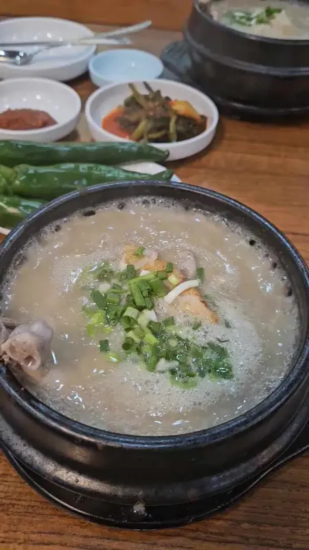 강원토종삼계탕 옻 삼계탕