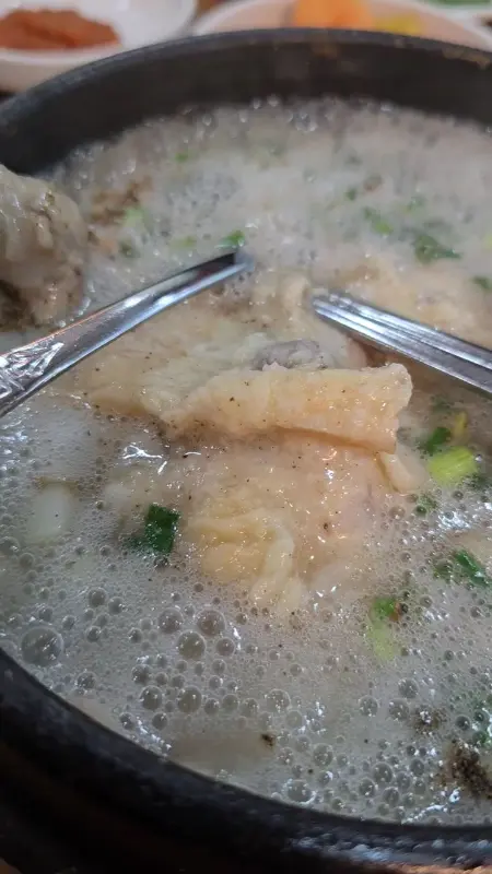 강원토종삼계탕 닭고기