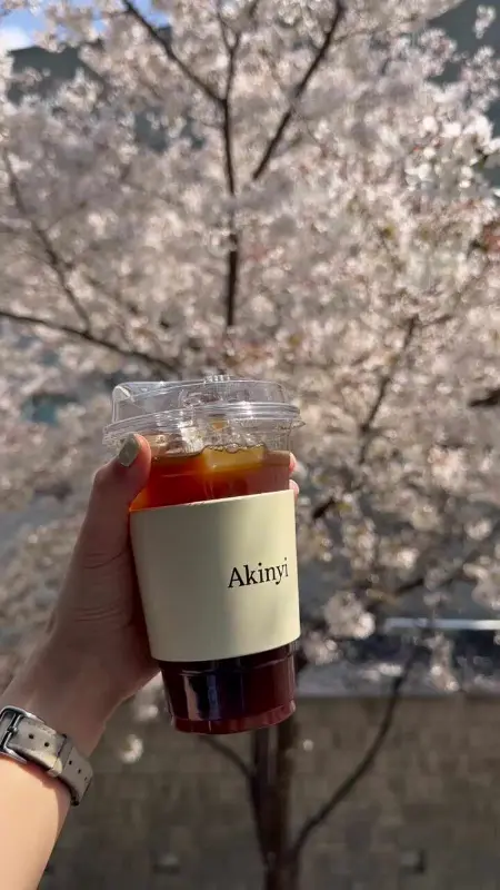 벚꽃과 커피