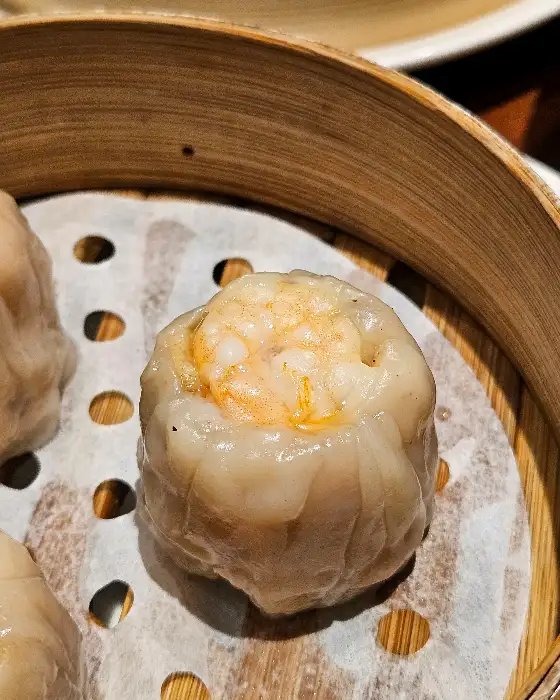 블랙하가우 단면