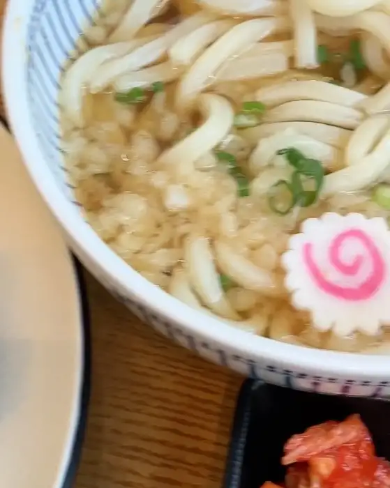 붓가케 우동 클로즈업