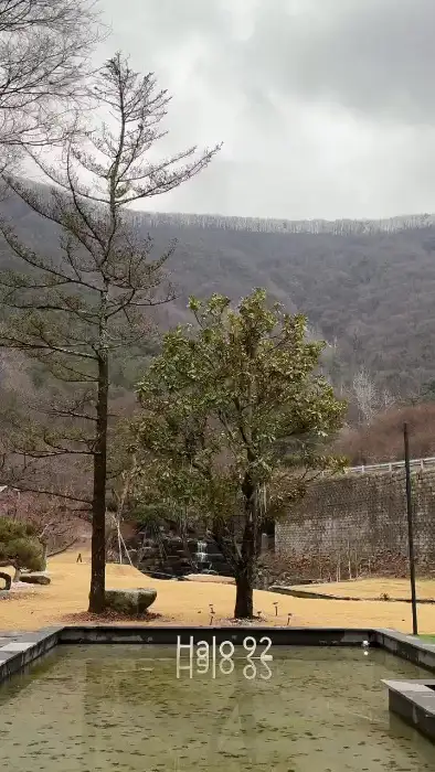 헤일로92 카페 풍경, 연못과 나무
