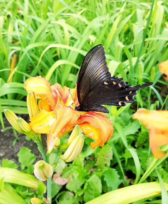 본죽 매장 외관