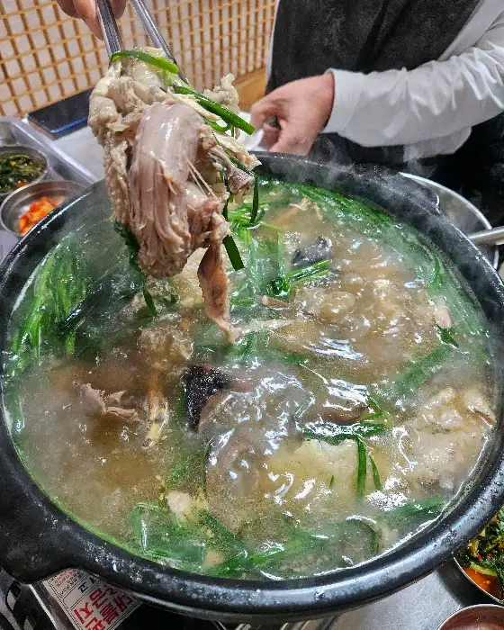 건져 올린 능이 백숙의 닭고기