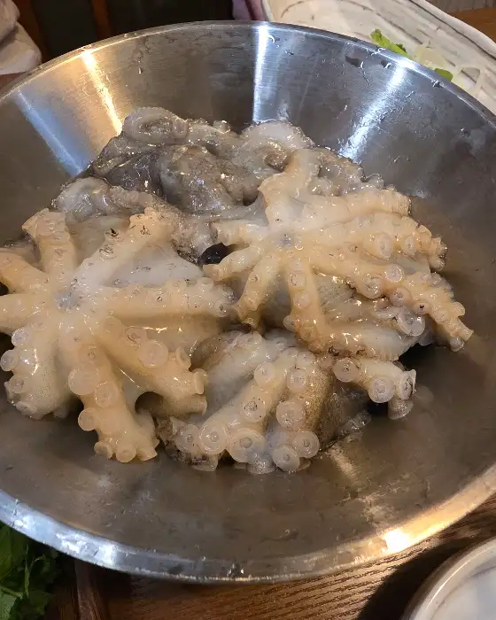 신선한 산낙지