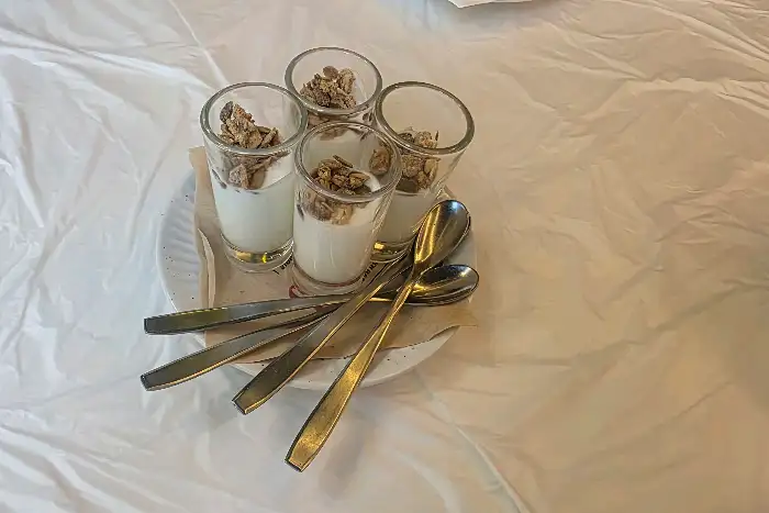 그래놀라 요거트