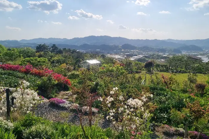 정원의 아름다운 꽃들과 푸른 산의 조화