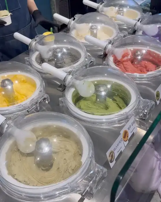 순두부 젤라또