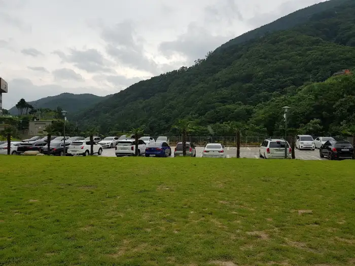 카페 외부 주차장과 뒤편의 산 풍경