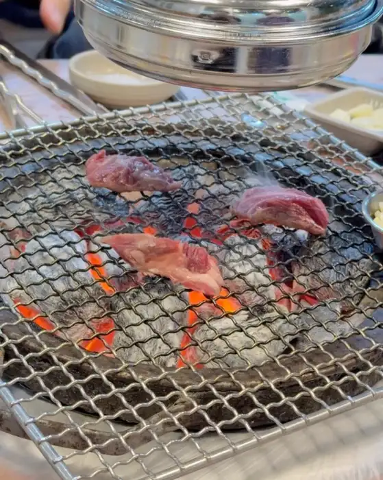 숯불 위에서 익고 있는 고기 조각들