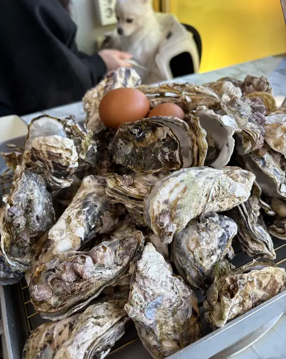 신선한 굴 더미
