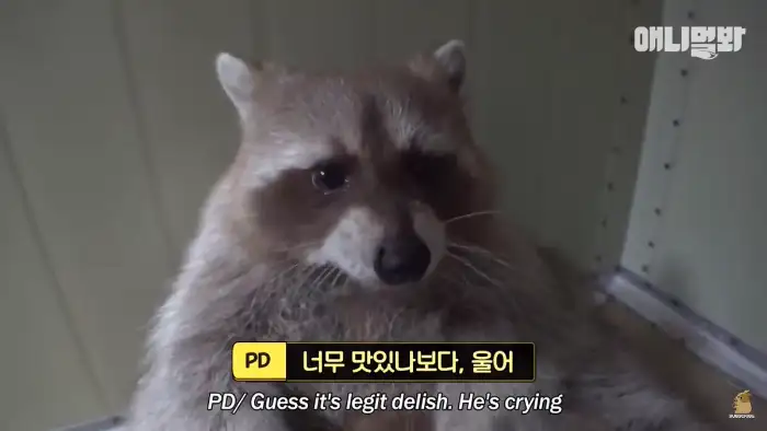 먹음직스러운 머쉬룸 피자의 모습.