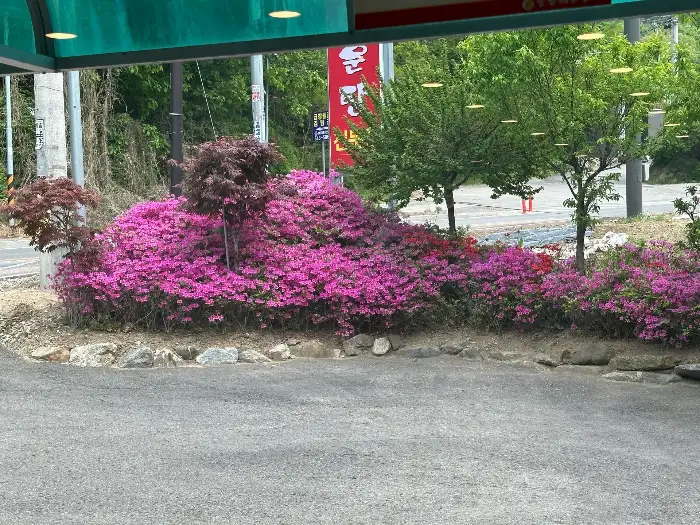 동강매운탕 밑반찬