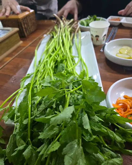 신선한 미나리