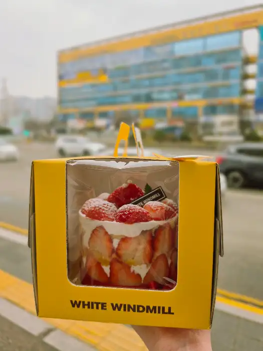 생딸기가 가득 올라간 케이크 박스