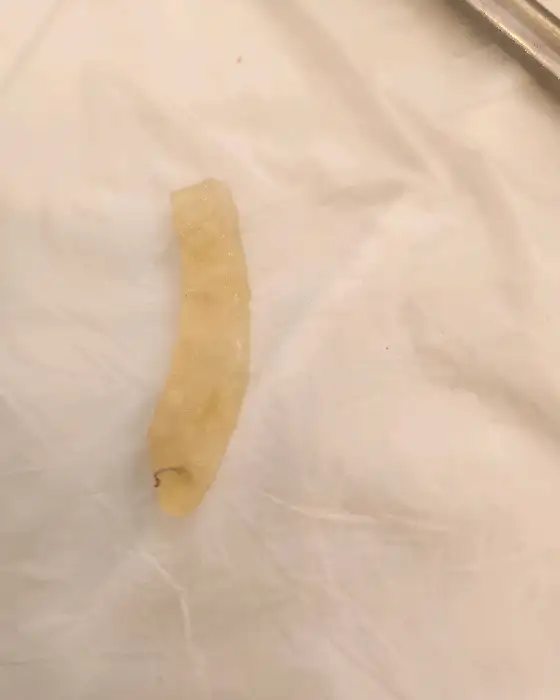 구워지는 통삼겹살