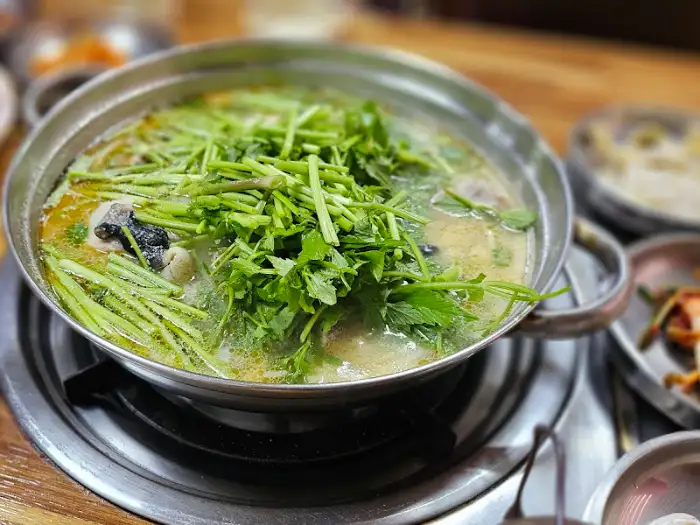 복지리 클로즈업