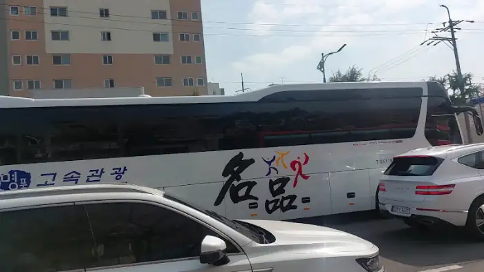 진해 벚꽃 열차