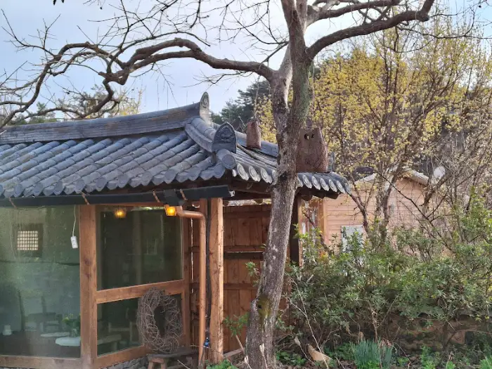 오래된 기와 지붕과 나무
