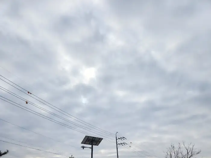 카페 외관 풍경