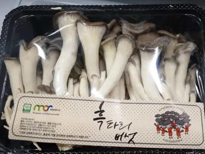 신선한 버섯
