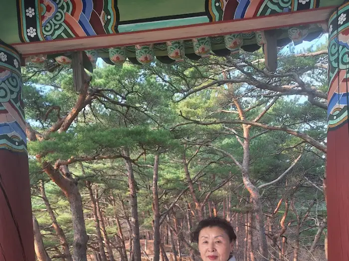 정자 내부에서 바라본 풍경
