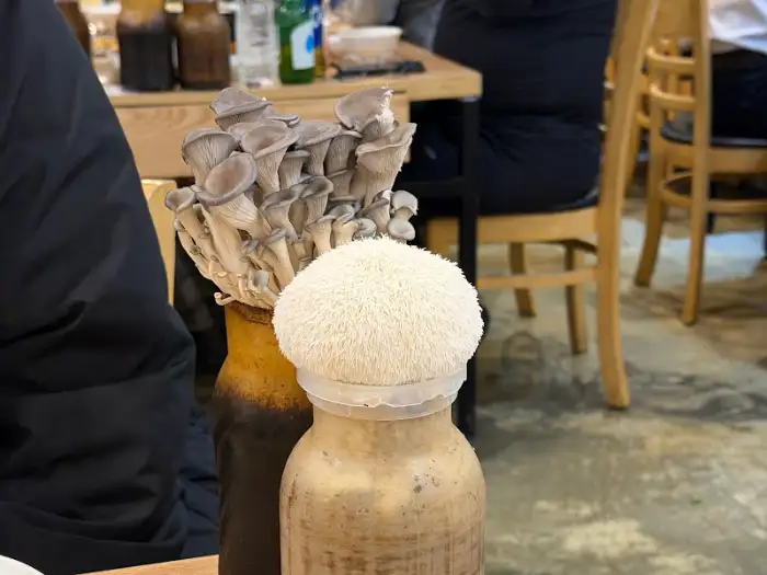 이색적인 버섯 요리