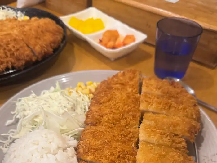 바삭한 일반 돈까스 클로즈업