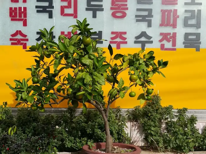 식당 내부 모습 - 화분과 메뉴판