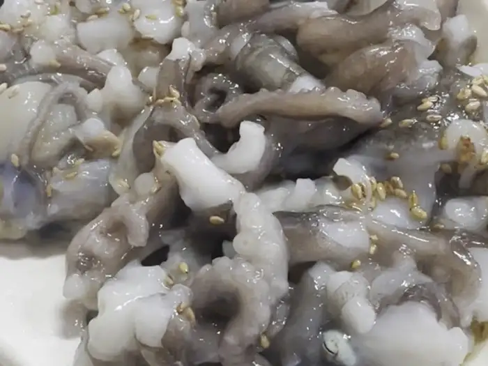 꿈틀거리는 산낙지
