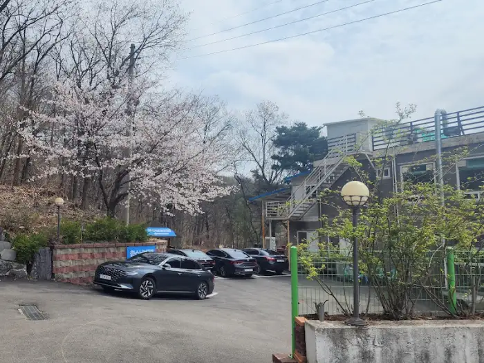 벚꽃과 함께 보이는 식당 외관