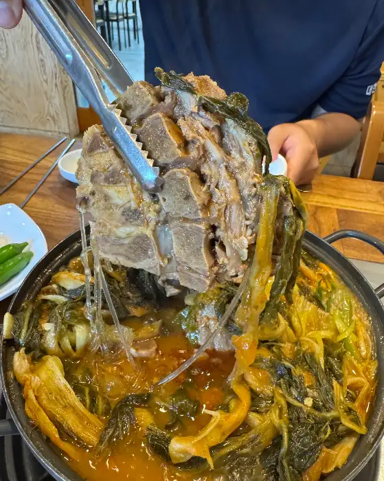 뼈다귀를 들어 올리는 모습