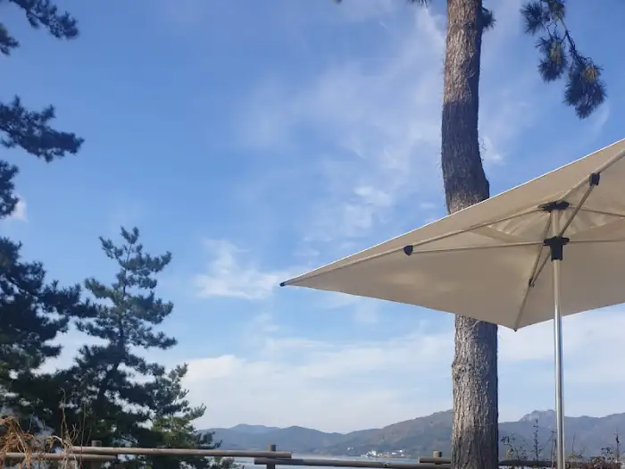 야외 좌석과 나무, 그리고 푸른 하늘