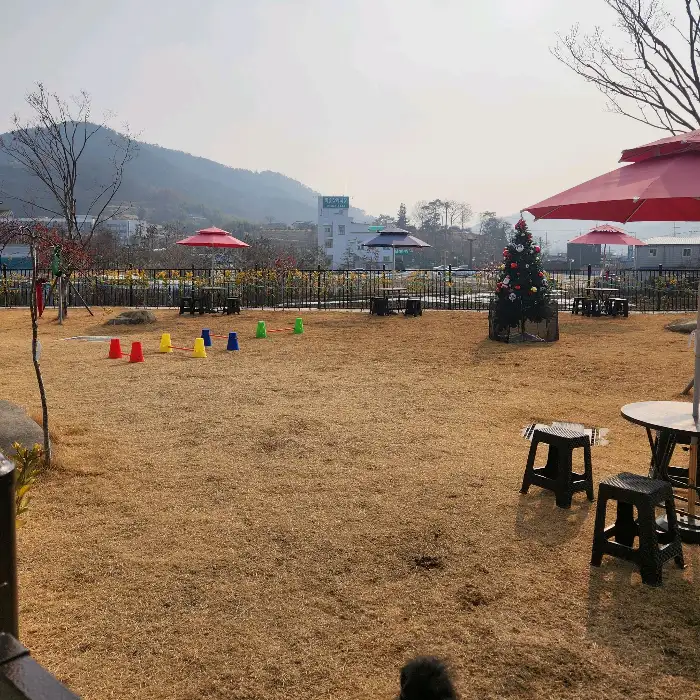 넓은 야외 잔디밭과 애견 놀이터