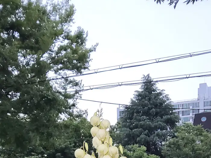 가게 주변 풍경