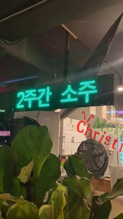 초록색 LED 간판에 '2주간 소주' 문구가 표시된 모습