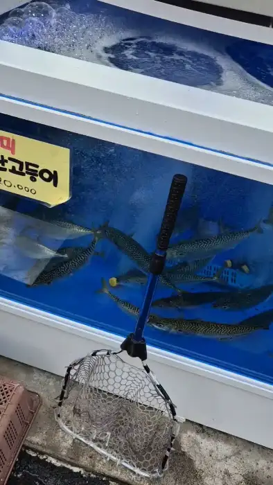 물고기를 잡기 위한 어망