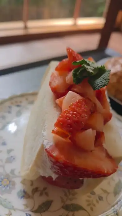 딸기산도의 근접 촬영 사진