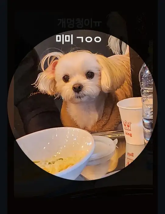 귀여운 강아지 사진 (리뷰에서 가져온 듯)