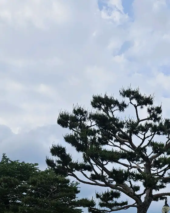 매콤달콤한 떡갈비