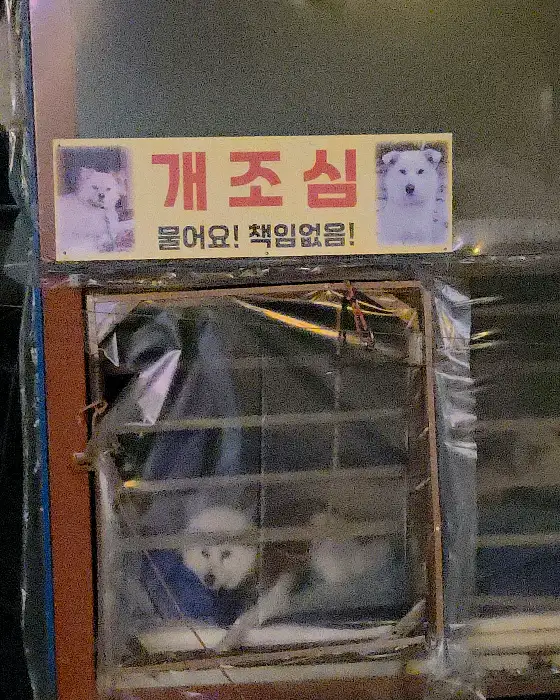 가게 외부의 안내문과 귀여운 동물들
