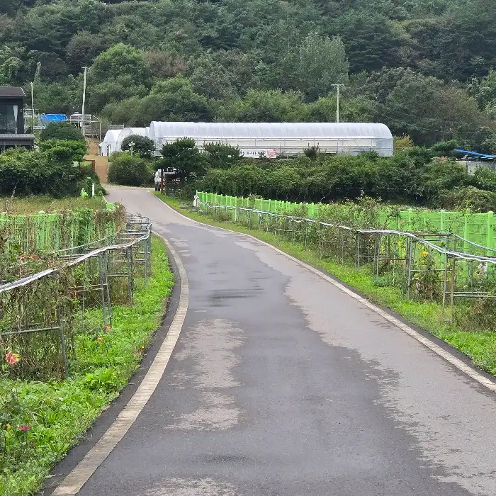 화순 오코25 외관 가는 길