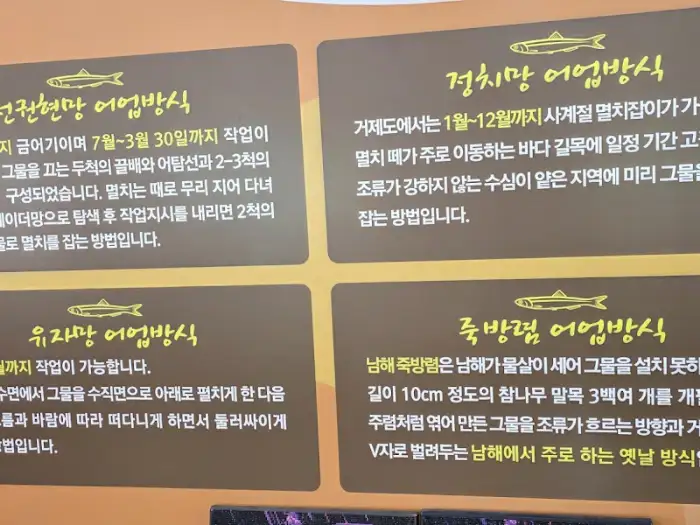 멸치 채집 및 요리에 대한 설명
