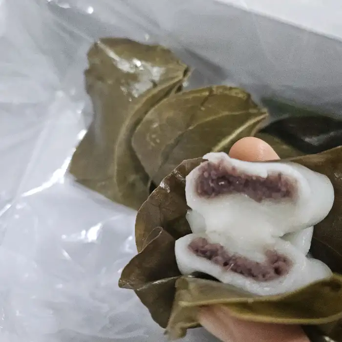 망개떡 단면