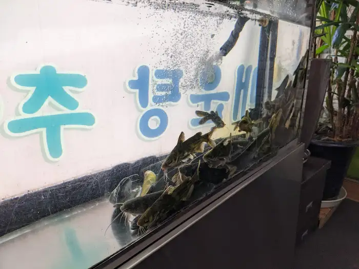 싱싱한 민물고기들이 헤엄치고 있는 수조