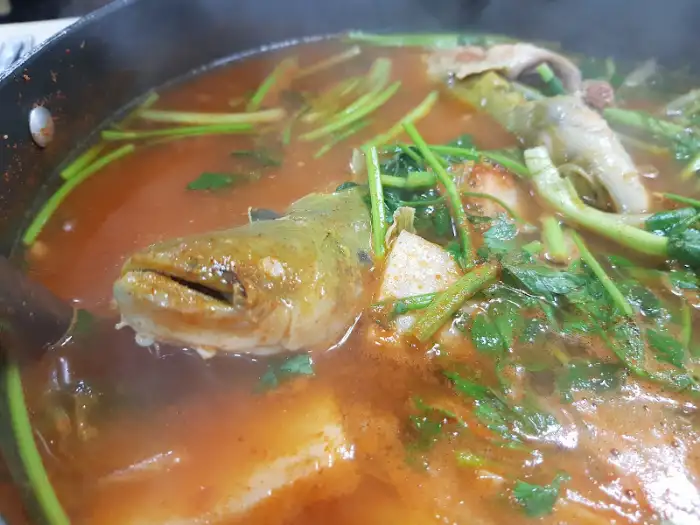 메기 머리