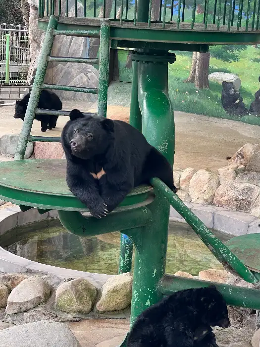 신선한 과일