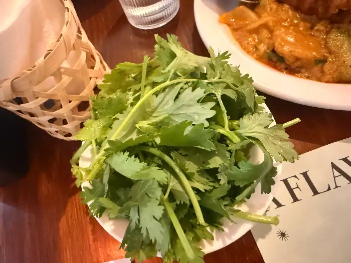 신선한 고수