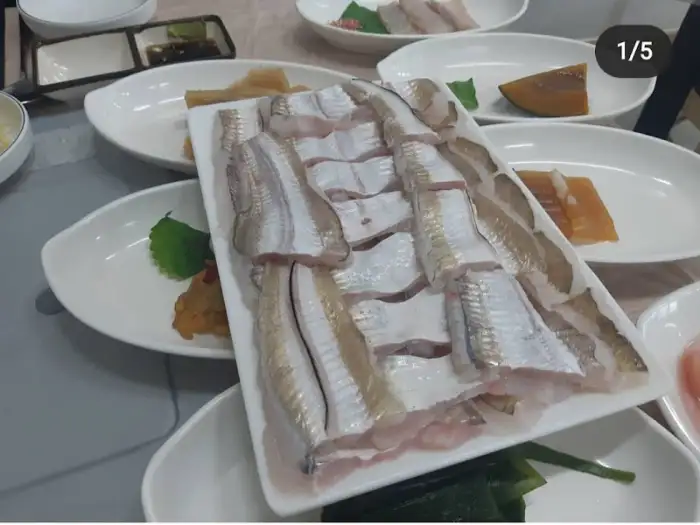 정갈하게 플레이팅된 하모 회