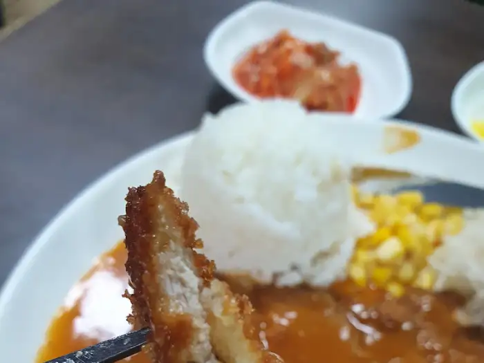 포크로 집은 돈까스 조각